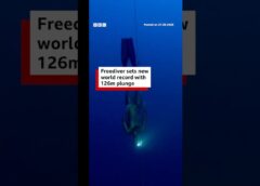 Alexey Molchanov dived 126m (413ft) in a single breath. #Diving #BBCNews