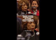 Maxine Waters doubles down on Trump criticism after ‘piggy’ comment