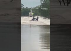 DARING RESCUE: Helicopter lands on flooded vehicle to rescue two men and a dog